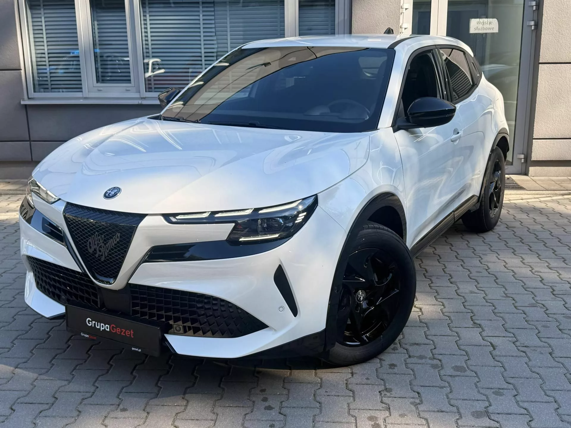 ALFA ROMEO Junior - zdjęcie 9