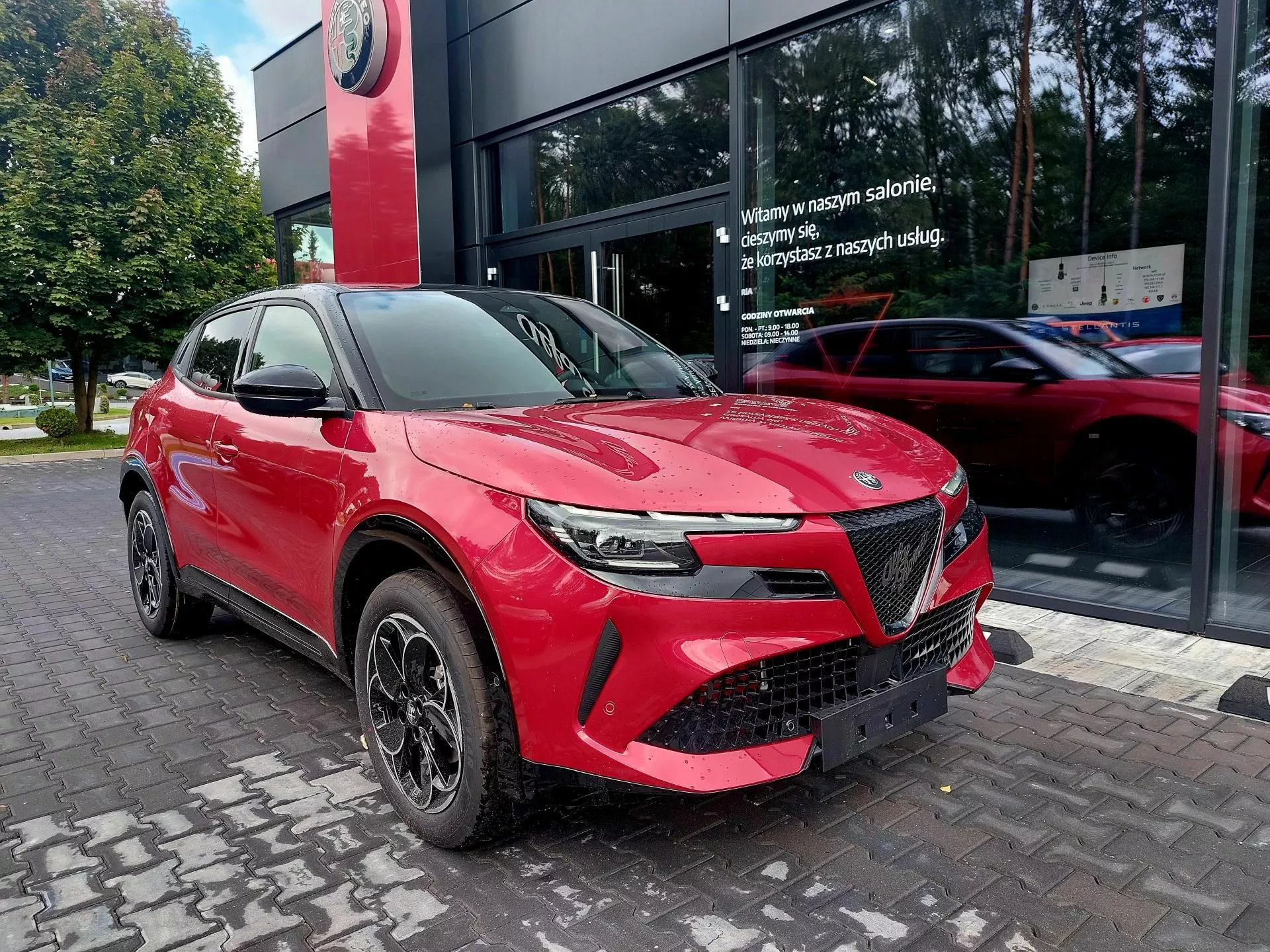 ALFA ROMEO Junior - zdjęcie 14