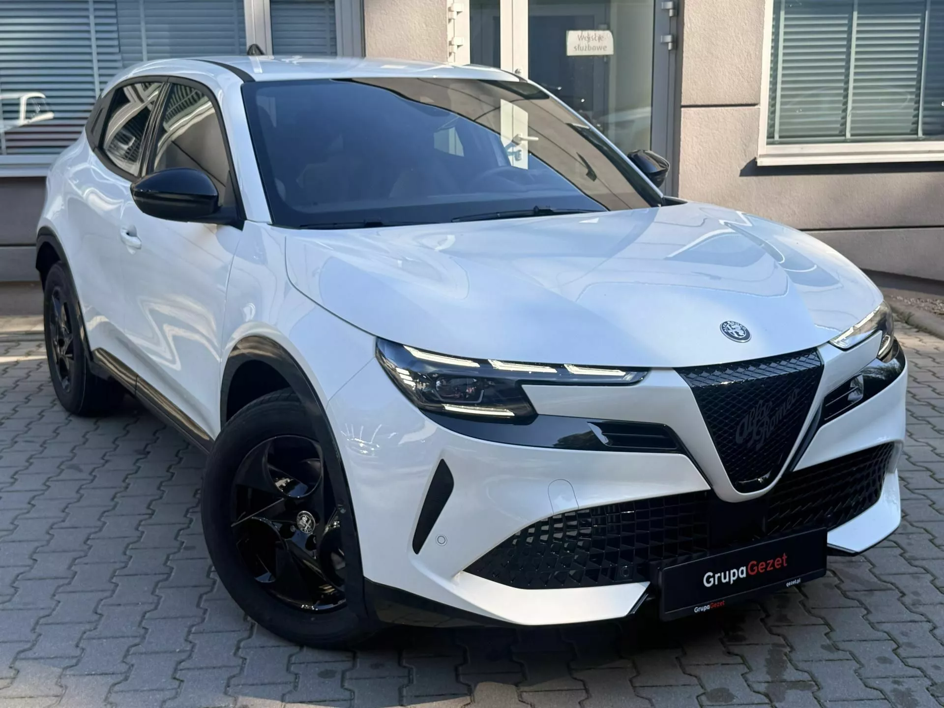 ALFA ROMEO Junior - zdjęcie 10