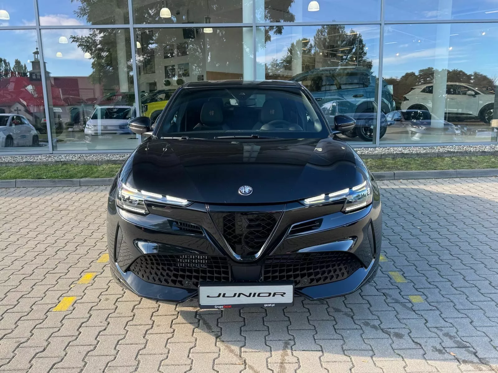 ALFA ROMEO Junior - zdjęcie 16