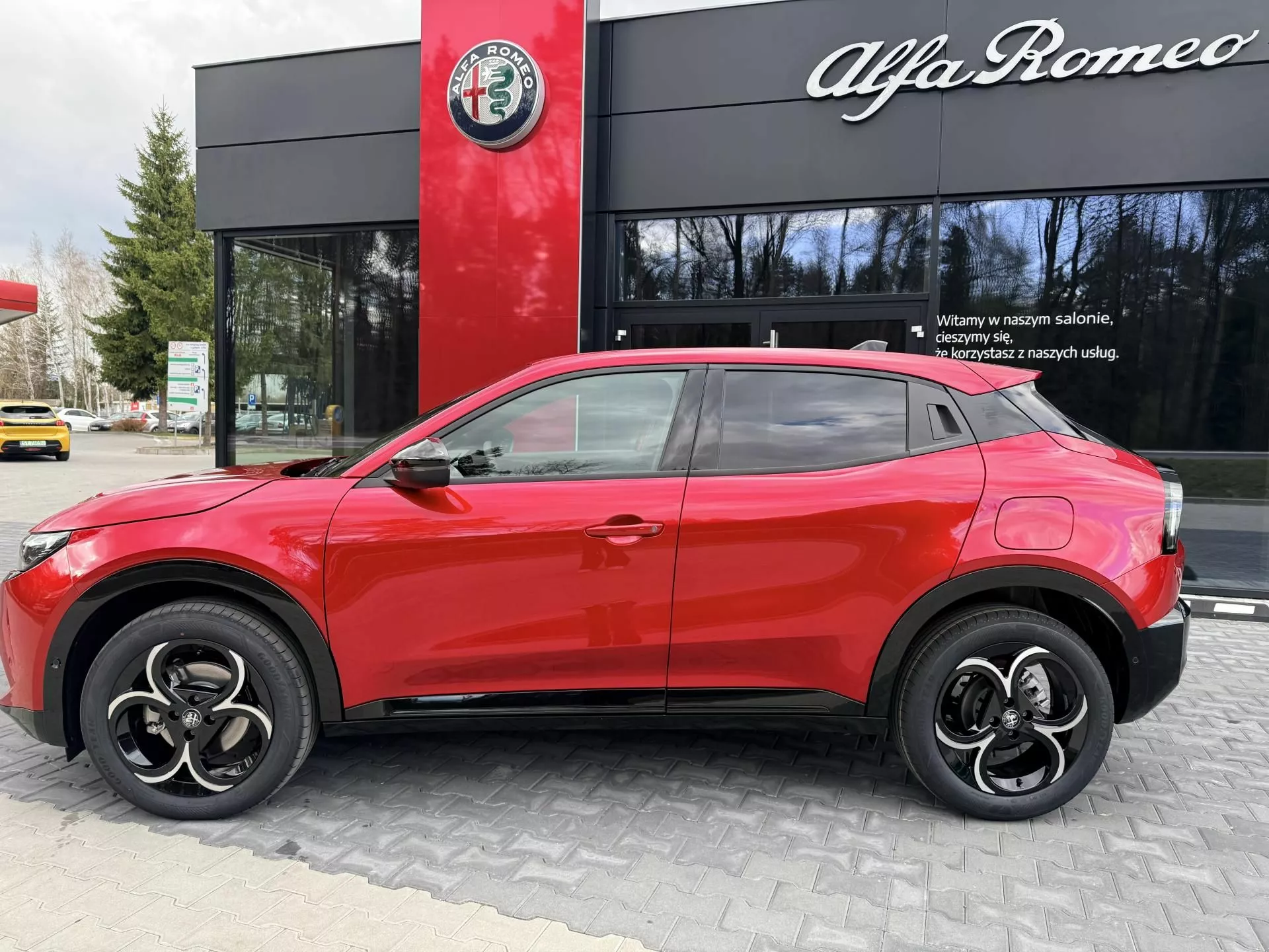 ALFA ROMEO Junior - zdjęcie 15