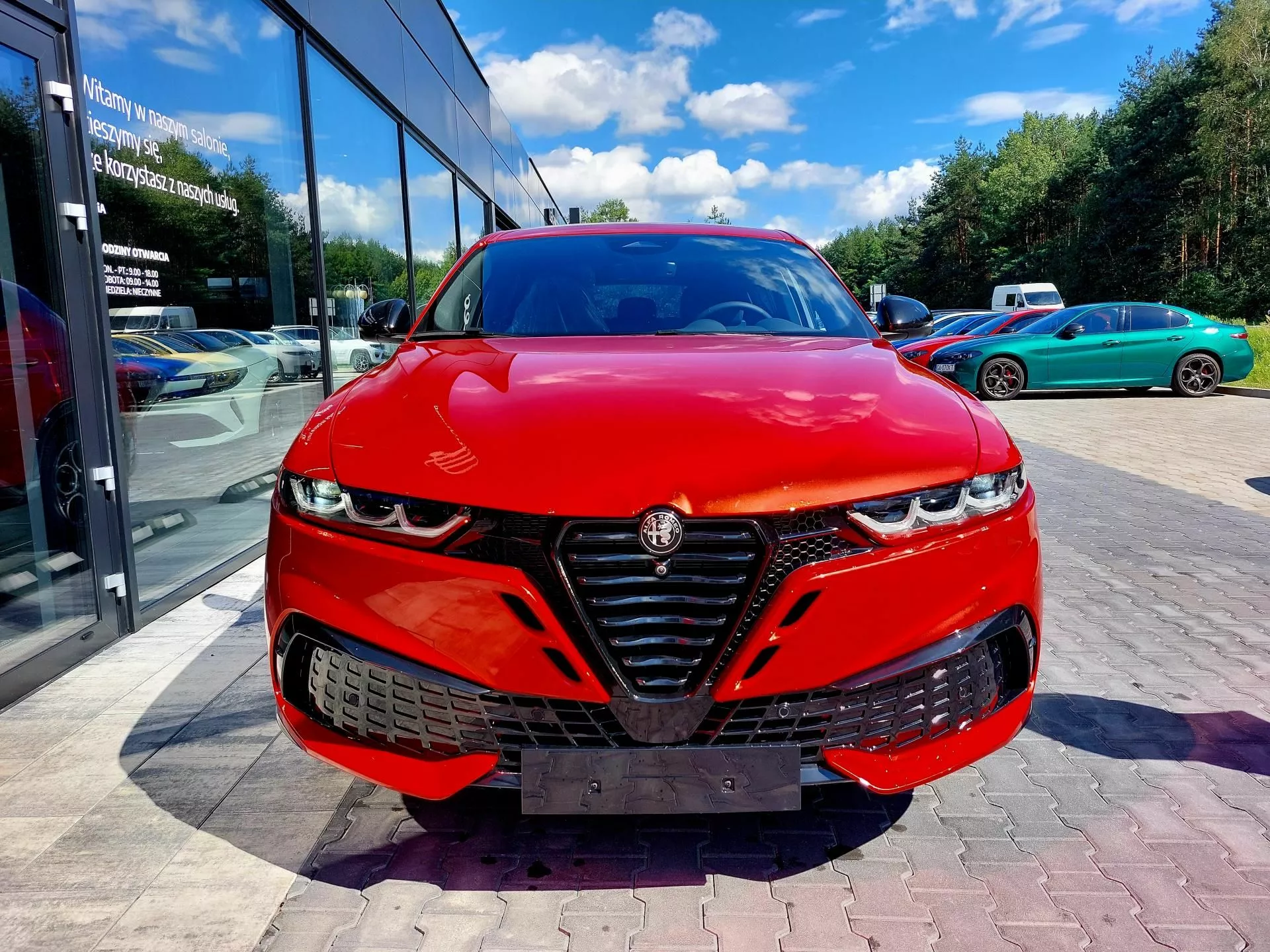 ALFA ROMEO Tonale - zdjęcie 13