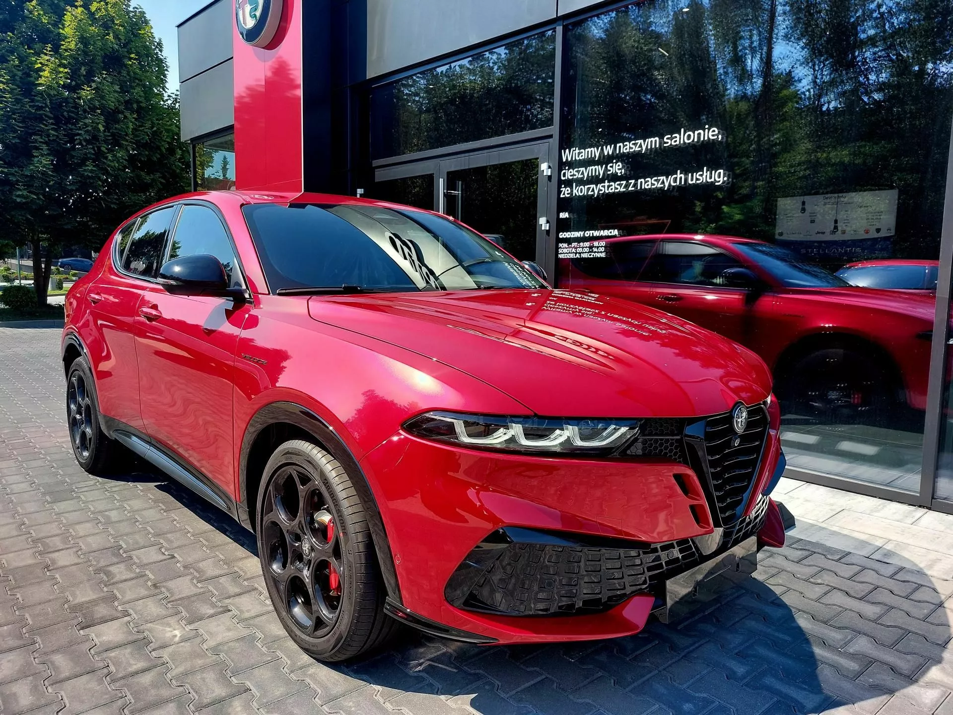ALFA ROMEO Tonale - zdjęcie 14