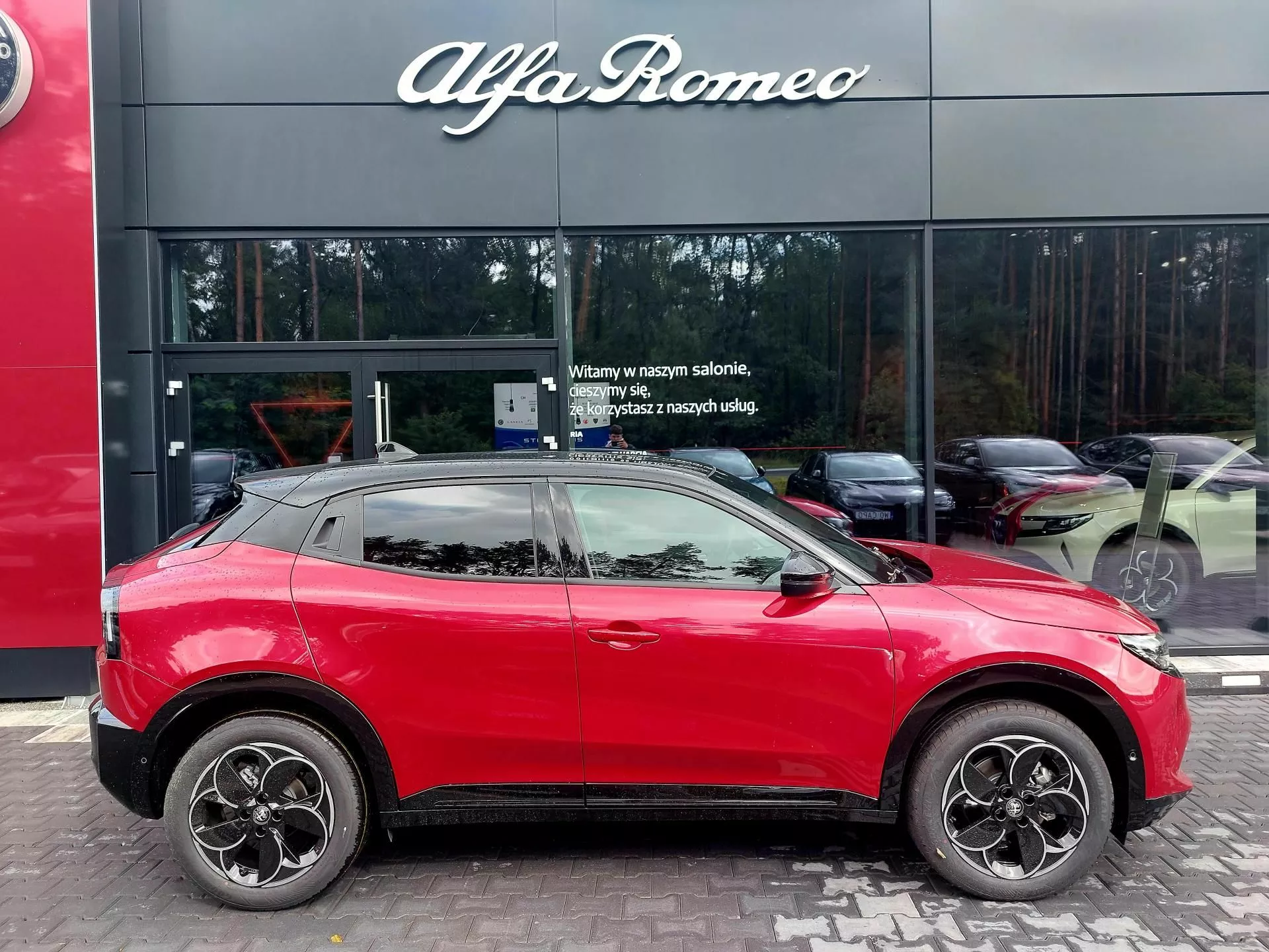 ALFA ROMEO Junior - zdjęcie 15